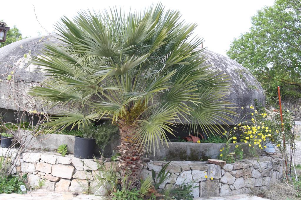 Villa La Scaletta อาลเกโร ห้อง รูปภาพ
